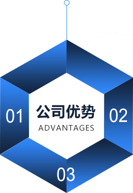 公司優(yōu)勢(shì) 公司優(yōu)勢(shì)